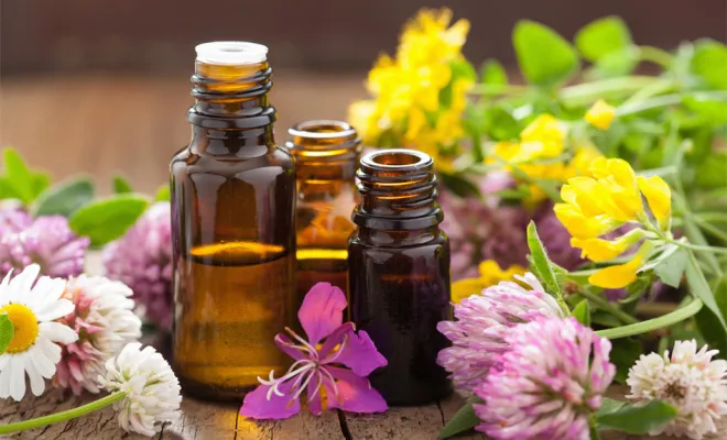 Santé au naturel, Roquetoire, Pharmacie de l'Avenir